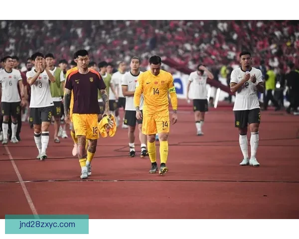 国足冲击世界杯之路胜算几何解析与未来展望 国足冲击世界杯之路胜算几何解析与未来展望