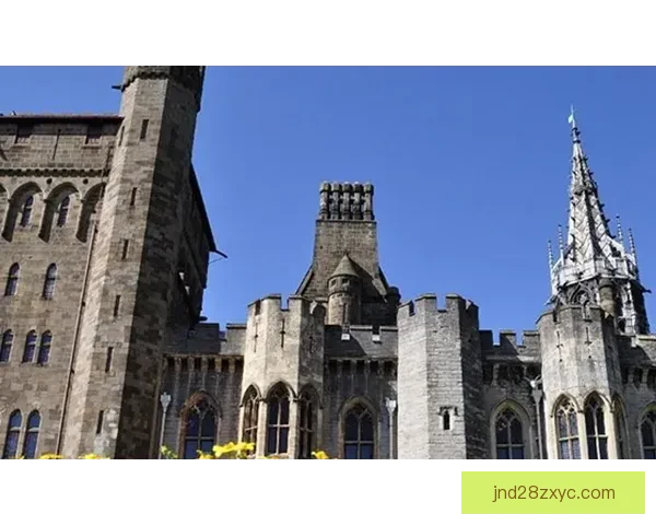 卡迪夫都市大学逆袭巴拉镇 2-1获胜，迎来关键三分